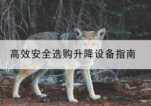 广东升降货梯厂家推荐-*安全选购升降设备指南