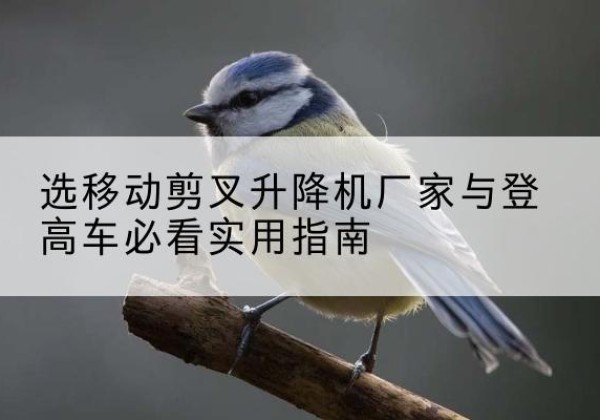 广东电动升降机厂家-选移动剪叉升降机厂家与登高车必看实用指南